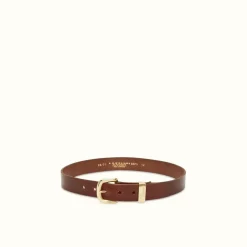 R.M. Williams Allora Belt Mid Brown Clearance